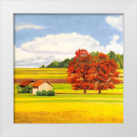 Pianure serene II (detail) White Modern Wood Framed Art Print by Angelo, Masera