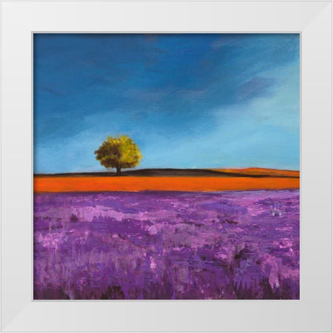 Field of Lavender White Modern Wood Framed Art Print by Bloom, Philip