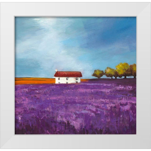 Field of Lavender White Modern Wood Framed Art Print by Bloom, Philip