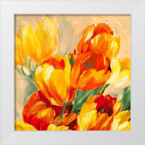 Tulips in the Sun I White Modern Wood Framed Art Print by Stone, Jim