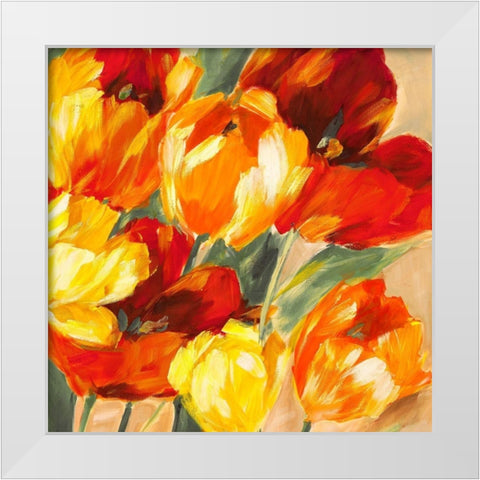 Tulips in the Sun II White Modern Wood Framed Art Print by Stone, Jim