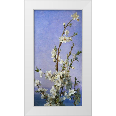 Blossom II White Modern Wood Framed Art Print by Anderson, Sophie