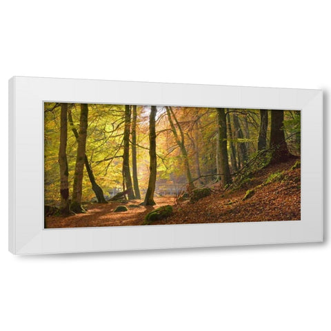 Autumn beech woods Birks o Aberfeldy White Modern Wood Framed Art Print by Anonymous