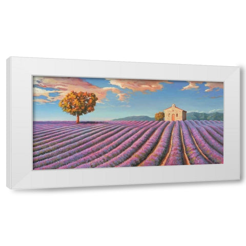 Campi di lavanda White Modern Wood Framed Art Print by Galasso, Adriano