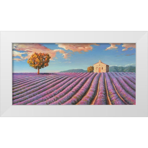 Campi di lavanda White Modern Wood Framed Art Print by Galasso, Adriano
