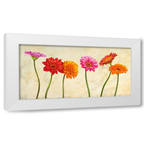 Gerberas White Modern Wood Framed Art Print by Ann, Cynthia