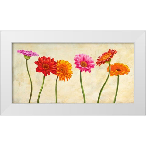 Gerberas White Modern Wood Framed Art Print by Ann, Cynthia