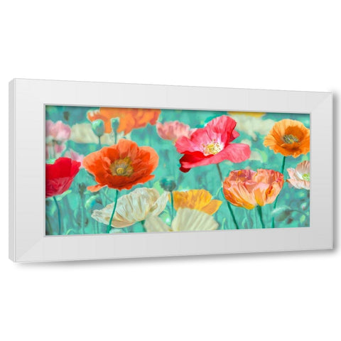 Poppies in Bloom White Modern Wood Framed Art Print by Cynthia, Ann