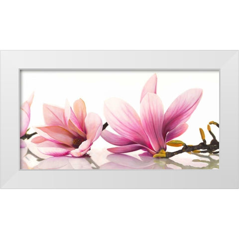 Magnolia White Modern Wood Framed Art Print by Ann, Cynthia