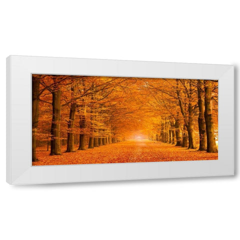 Woods in autumn White Modern Wood Framed Art Print by Pangea Images