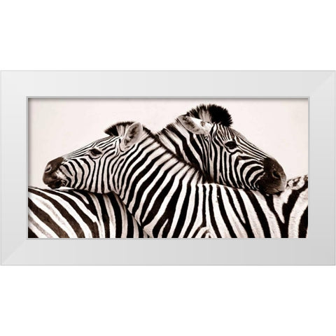 Zebras in love White Modern Wood Framed Art Print by Anonymous