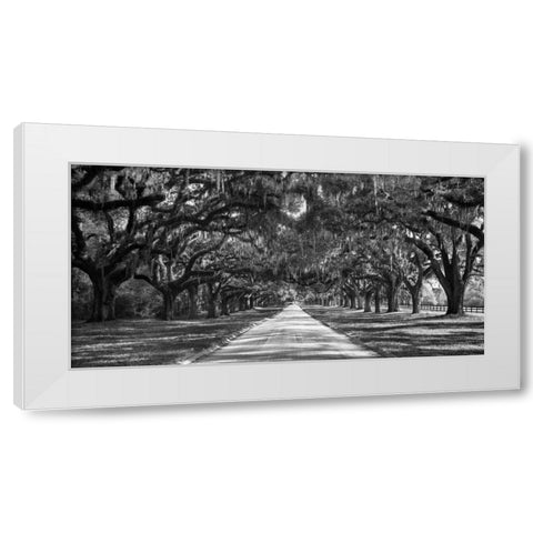 Tree lined plantation entrance, South Carolina White Modern Wood Framed Art Print by Anonymous