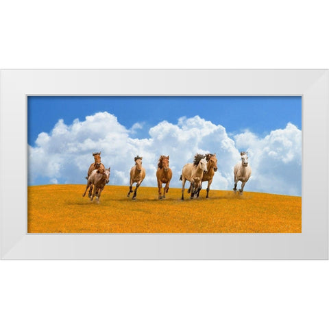 Herd of wild horses White Modern Wood Framed Art Print by Pangea Images
