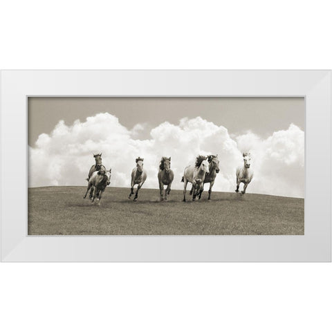 Herd of wild horses (BW) White Modern Wood Framed Art Print by Pangea Images