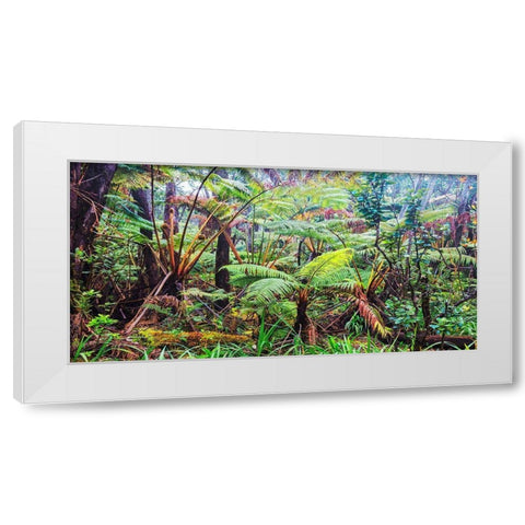 Palm and fern forest, Hawaii (detail) White Modern Wood Framed Art Print by Pangea Images
