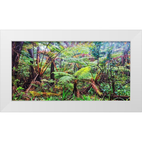 Palm and fern forest, Hawaii (detail) White Modern Wood Framed Art Print by Pangea Images