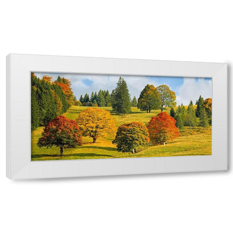 Autumn in Quebec White Modern Wood Framed Art Print by Pangea Images