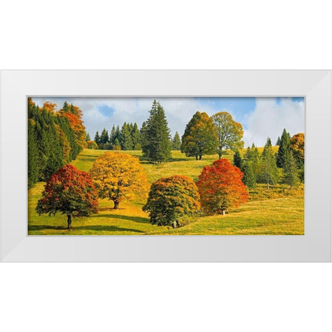 Autumn in Quebec White Modern Wood Framed Art Print by Pangea Images