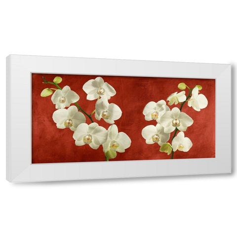 Orchids on Red Background White Modern Wood Framed Art Print by Antinori, Andrea