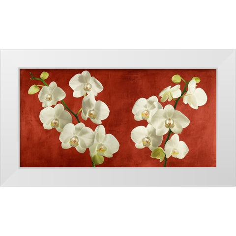 Orchids on Red Background White Modern Wood Framed Art Print by Antinori, Andrea