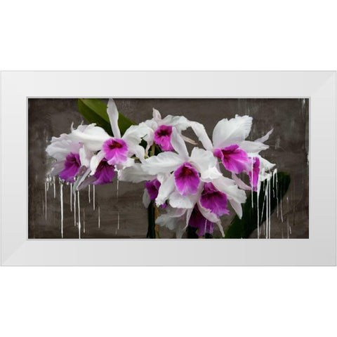 Orchid blackboard White Modern Wood Framed Art Print by Vinci, Alex