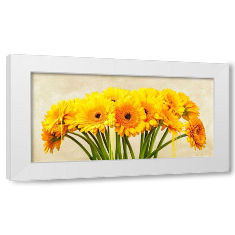 Gerbera Abstraction White Modern Wood Framed Art Print by Vinci, Alex