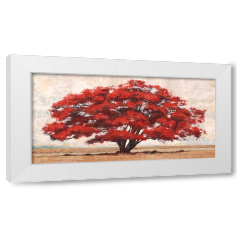 Silva White Modern Wood Framed Art Print by Bacci, Leonardo