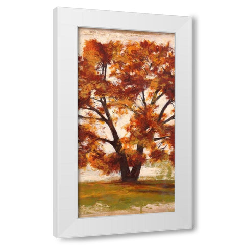Mattino II White Modern Wood Framed Art Print by Bacci, Leonardo