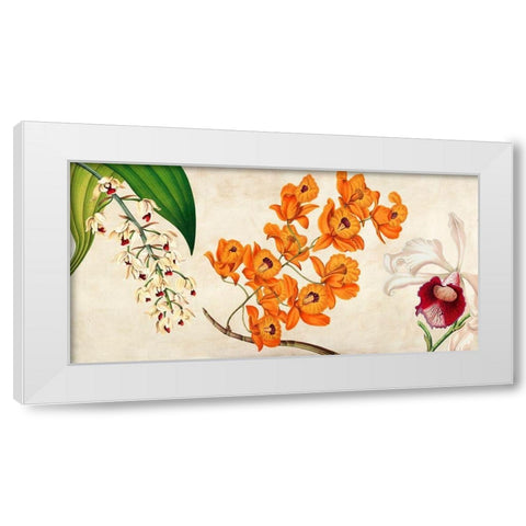 Panneau Botanique II White Modern Wood Framed Art Print by Dellal, Remy