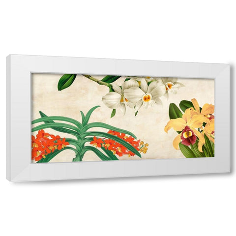 Panneau Botanique III White Modern Wood Framed Art Print by Dellal, Remy