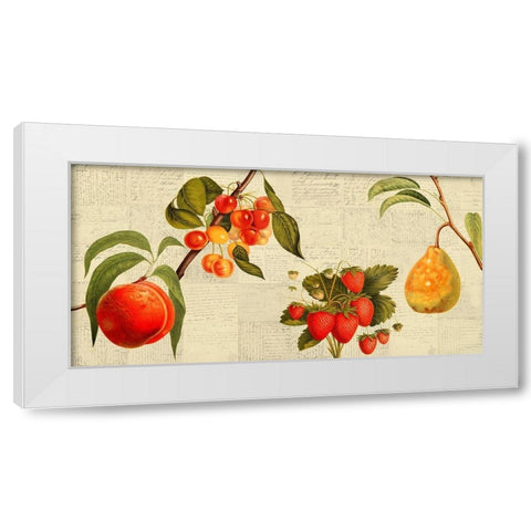 Fruits de saison White Modern Wood Framed Art Print by Dellal, Remy