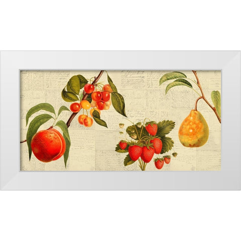 Fruits de saison White Modern Wood Framed Art Print by Dellal, Remy