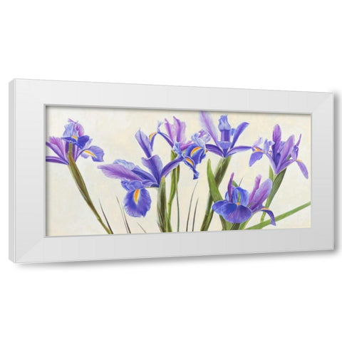 Iris White Modern Wood Framed Art Print by Dolci, Elena