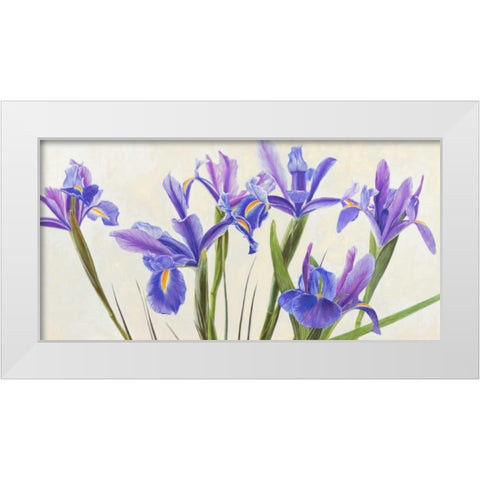 Iris White Modern Wood Framed Art Print by Dolci, Elena