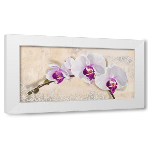 Royal Orchid White Modern Wood Framed Art Print by Dolci, Elena