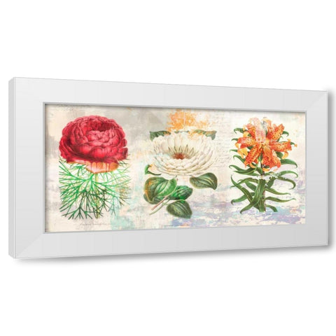 Hortus Botanicus 2.0 White Modern Wood Framed Art Print by Chestier, Eric