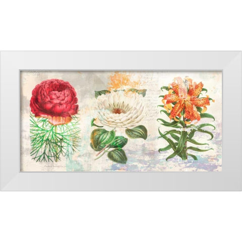 Hortus Botanicus 2.0 White Modern Wood Framed Art Print by Chestier, Eric