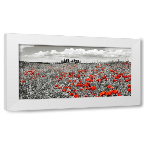 Farm house with cypresses and poppies, Tuscany, Italy White Modern Wood Framed Art Print by Krahmer, Frank