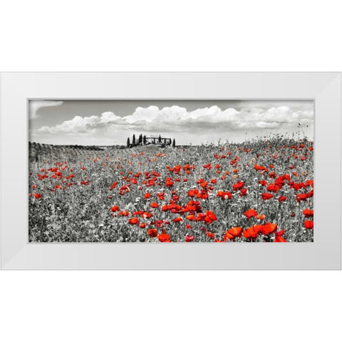 Farm house with cypresses and poppies, Tuscany, Italy White Modern Wood Framed Art Print by Krahmer, Frank