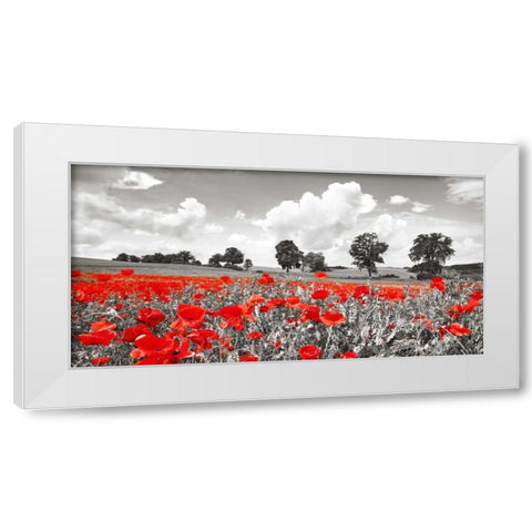 Poppies and vicias in meadow, Mecklenburg Lake District, Germany White Modern Wood Framed Art Print by Krahmer, Frank