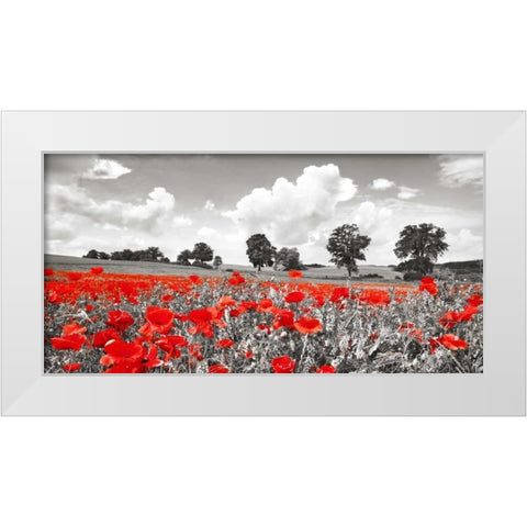 Poppies and vicias in meadow, Mecklenburg Lake District, Germany White Modern Wood Framed Art Print by Krahmer, Frank