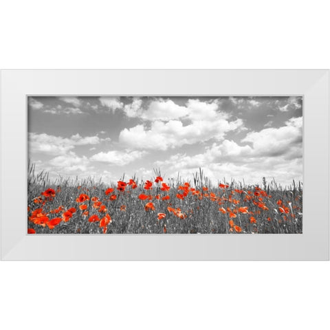 Poppies in corn field, Bavaria, Germany White Modern Wood Framed Art Print by Krahmer, Frank