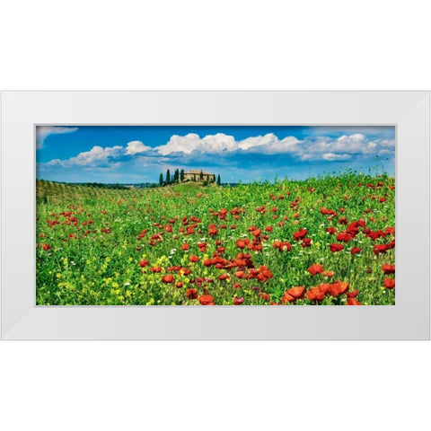 Farm house with cypresses and poppies, Tuscany, Italy White Modern Wood Framed Art Print by Krahmer, Frank