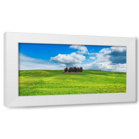 Cypresses- Val dOrcia- Tuscany (detail) White Modern Wood Framed Art Print by Krahmer, Frank