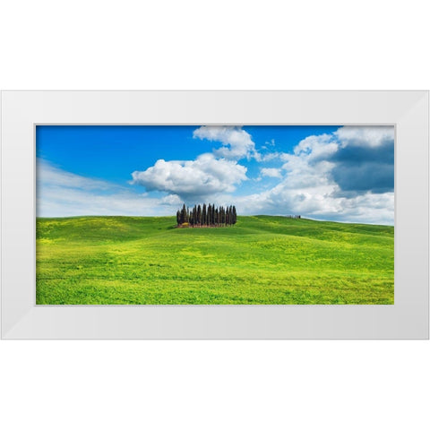 Cypresses- Val dOrcia- Tuscany (detail) White Modern Wood Framed Art Print by Krahmer, Frank