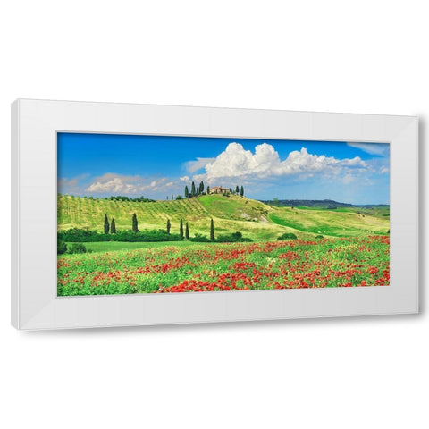 Farmhouse with Cypresses and Poppies- Val dOrcia- Tuscany  White Modern Wood Framed Art Print by Krahmer, Frank
