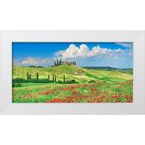 Farmhouse with Cypresses and Poppies- Val dOrcia- Tuscany  White Modern Wood Framed Art Print by Krahmer, Frank