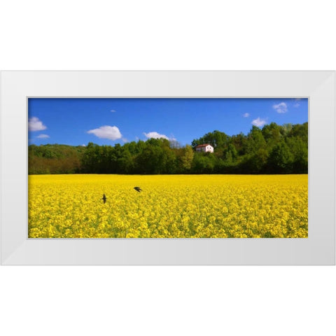 Volo di rondini White Modern Wood Framed Art Print by Ferrua, Fulvio