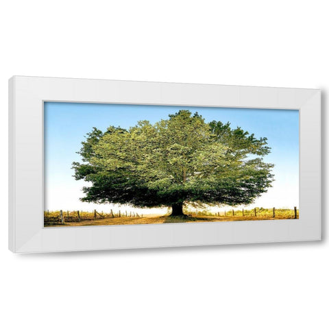 Un secolo di tramonti White Modern Wood Framed Art Print by Fulvio, Ferrua