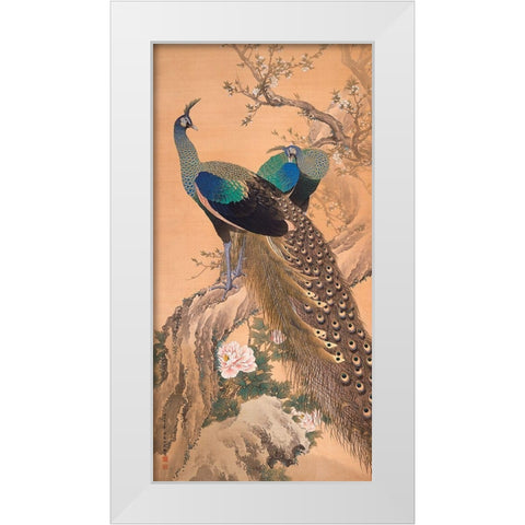 A Pair of Peacocks in Spring White Modern Wood Framed Art Print by Imao KeinenImao, Keinen